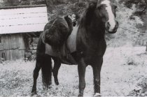 RC 2015.0.2.1 Bishop Interview Image Number 31